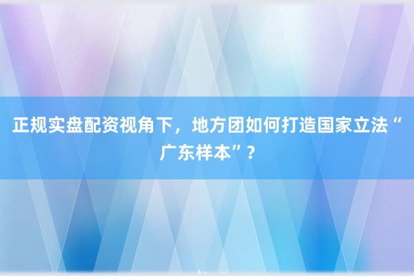 正规实盘配资视角下，地方团如何打造国家立法“广东样本”？