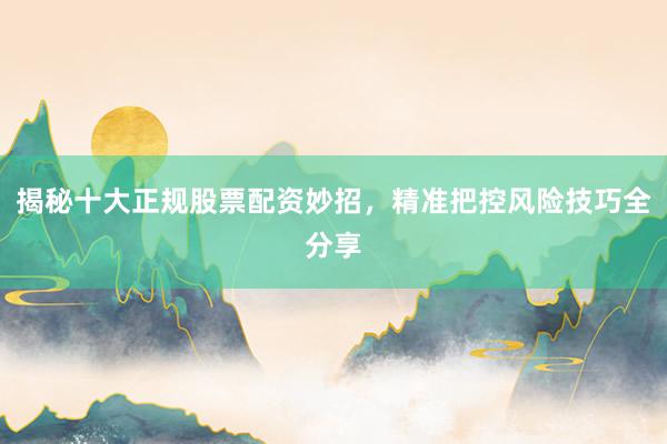 揭秘十大正规股票配资妙招，精准把控风险技巧全分享