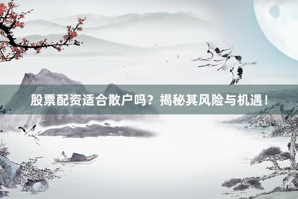 股票配资适合散户吗？揭秘其风险与机遇！