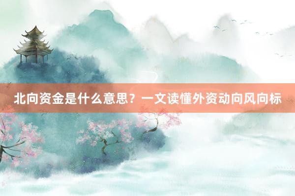 北向资金是什么意思?一文读懂外资动向风向标