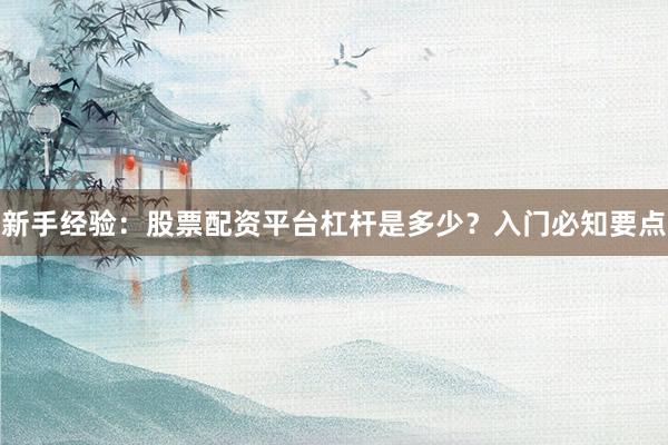 新手经验:股票配资平台杠杆是多少?入门必知要点