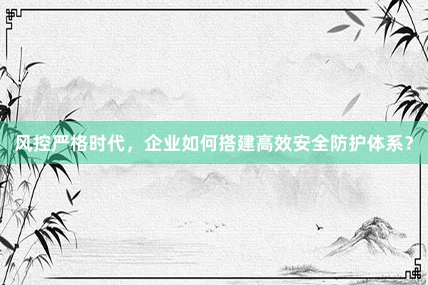 风控严格时代，企业如何搭建高效安全防护体系？