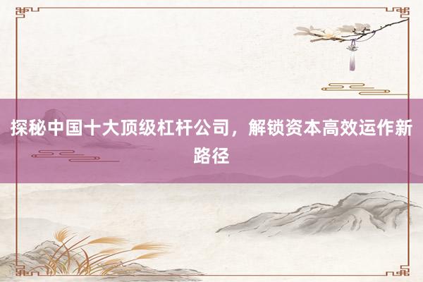 探秘中国十大顶级杠杆公司，解锁资本高效运作新路径