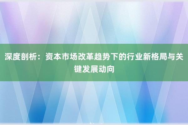 深度剖析：资本市场改革趋势下的行业新格局与关键发展动向